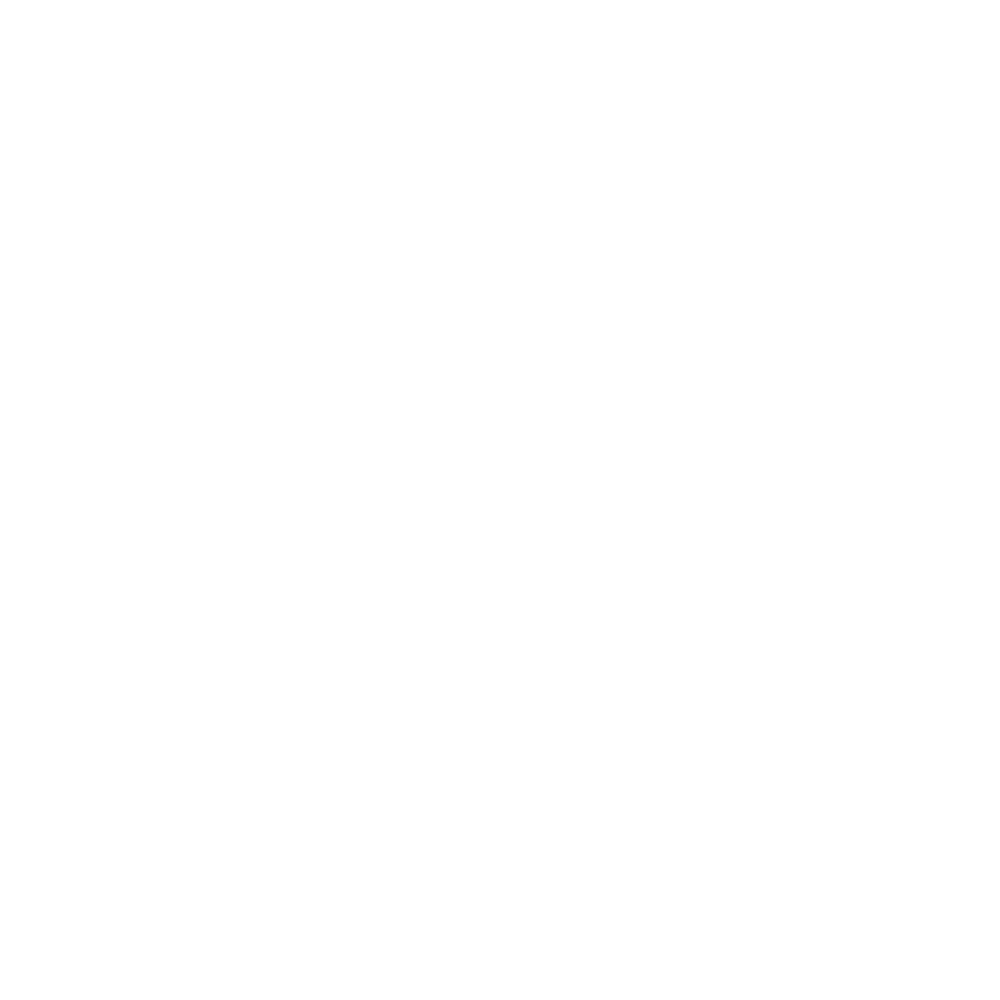 Logo2